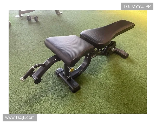 立健品牌健身器材产品线及用户评价汇总