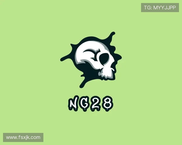 介绍ng28